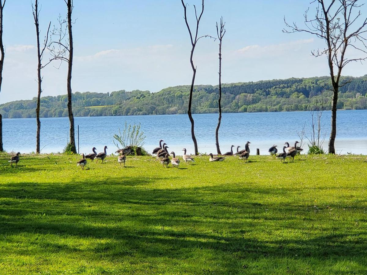Sommerhus Ved Mosso Med Sokig Skanderborg Exterior foto